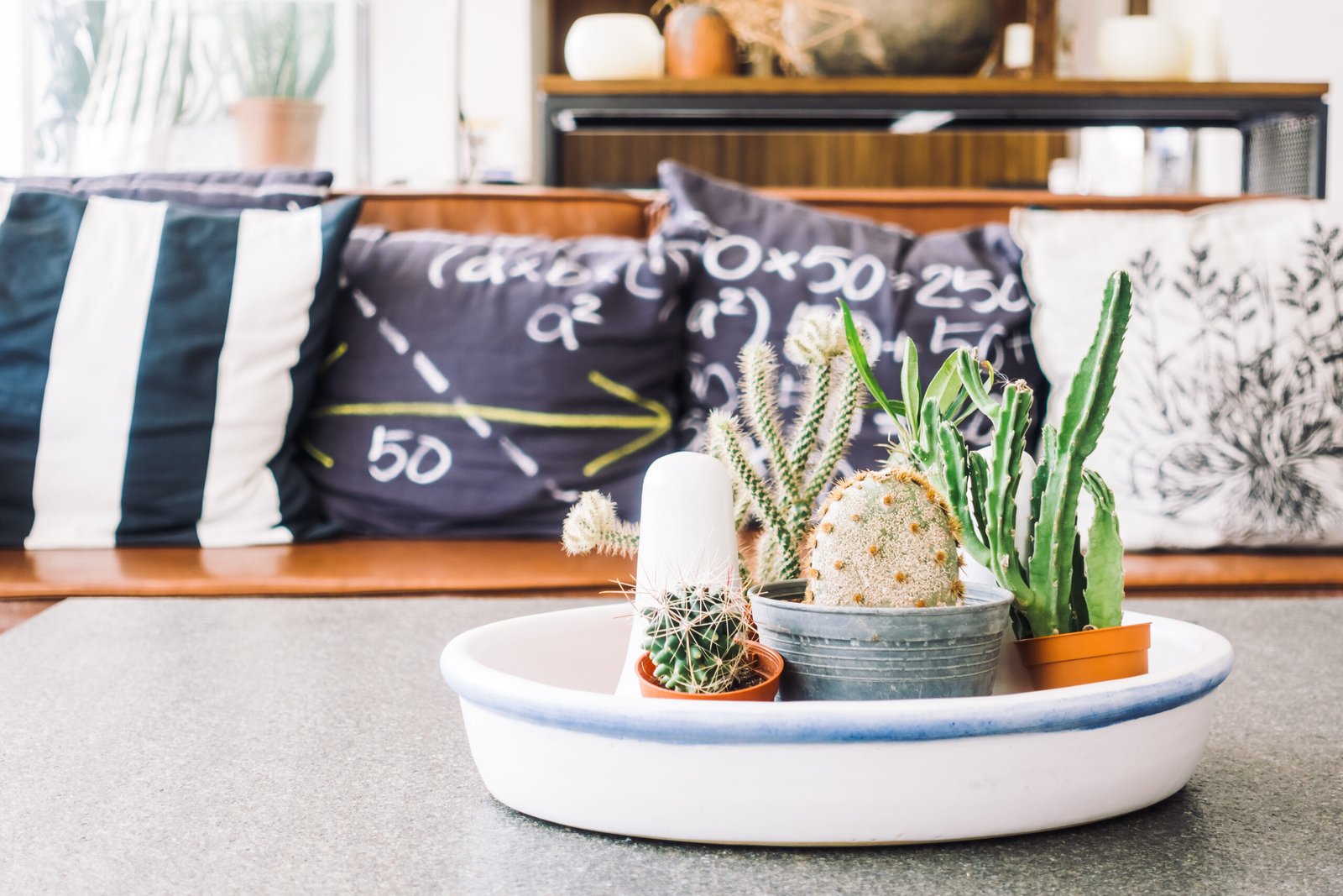 In-Room Accessories